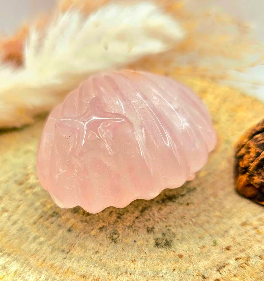 Natural rose quartz hand-carved 2 inch big sea shell crystal decor figure — My Aura Gemstones