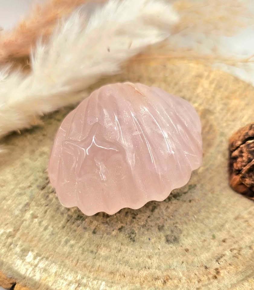 Nature Rose Quartz Hand Carved 2"Big Sea Shell Decor Figure