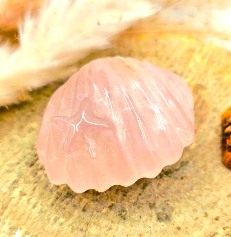 Rose quartz sea shell figure detail, part of the Ocean & Whimsy Set - My Aura Gemstones