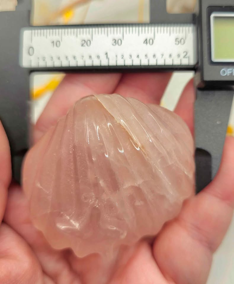 Nature Rose Quartz Hand Carved 2"Big Sea Shell Decor Figure