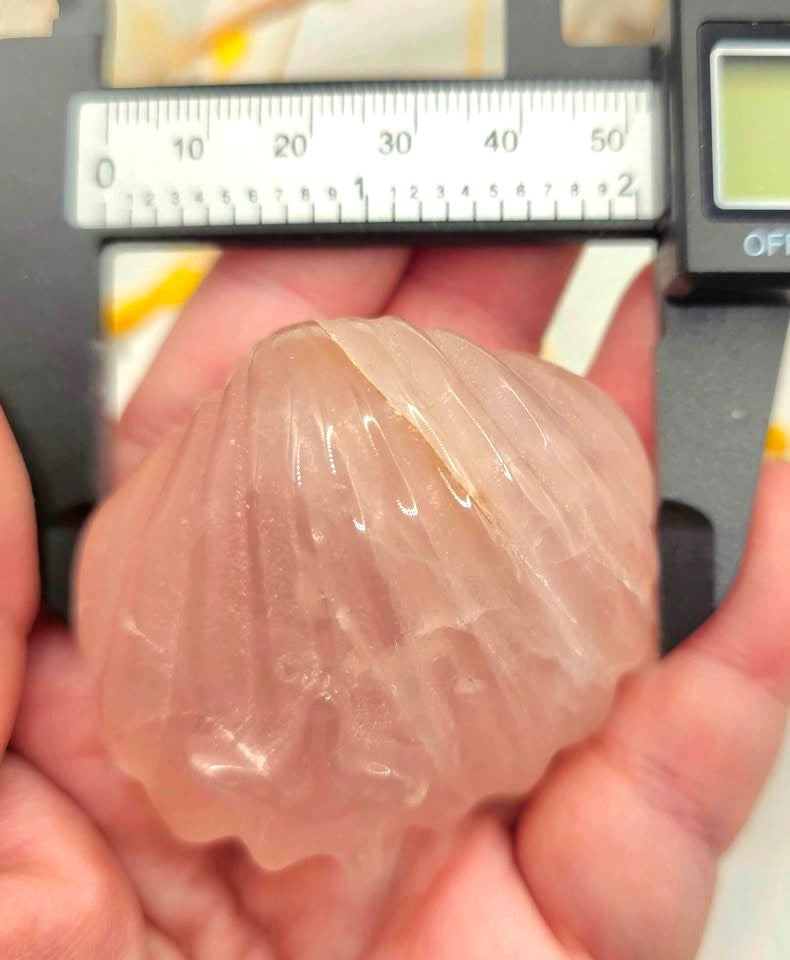 Natural rose quartz hand-carved 2 inch big sea shell crystal decor figure — My Aura Gemstones