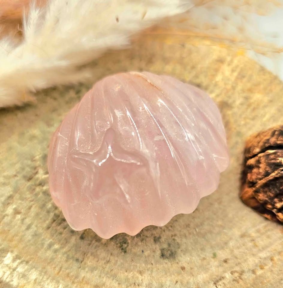 Nature Rose Quartz Hand Carved 2"Big Sea Shell Decor Figure