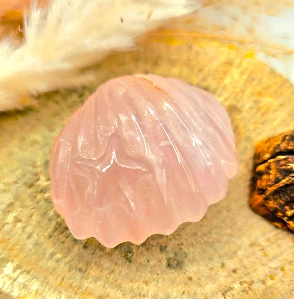 Natural rose quartz hand-carved 2 inch big sea shell crystal decor figure — My Aura Gemstones