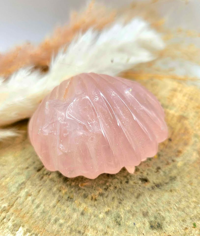 Nature Rose Quartz Hand Carved 2"Big Sea Shell Decor Figure