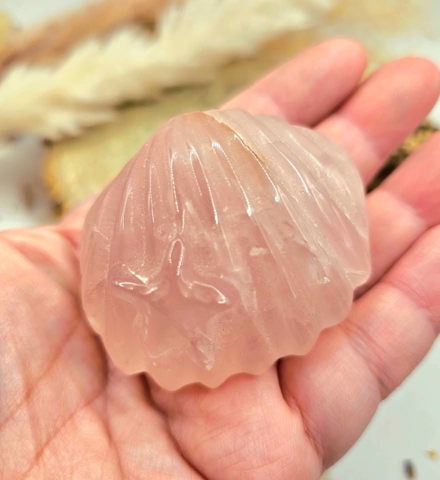 Nature Rose Quartz Hand Carved 2"Big Sea Shell Decor Figure