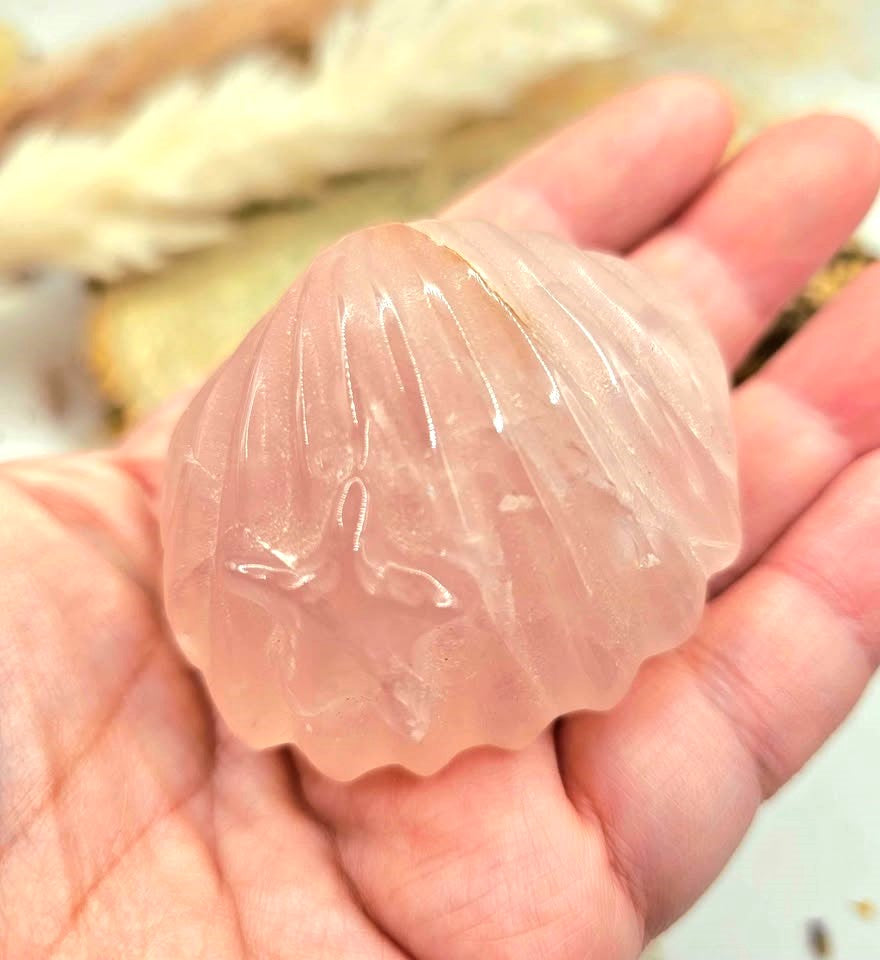 Natural rose quartz hand-carved 2 inch big sea shell crystal decor figure — My Aura Gemstones