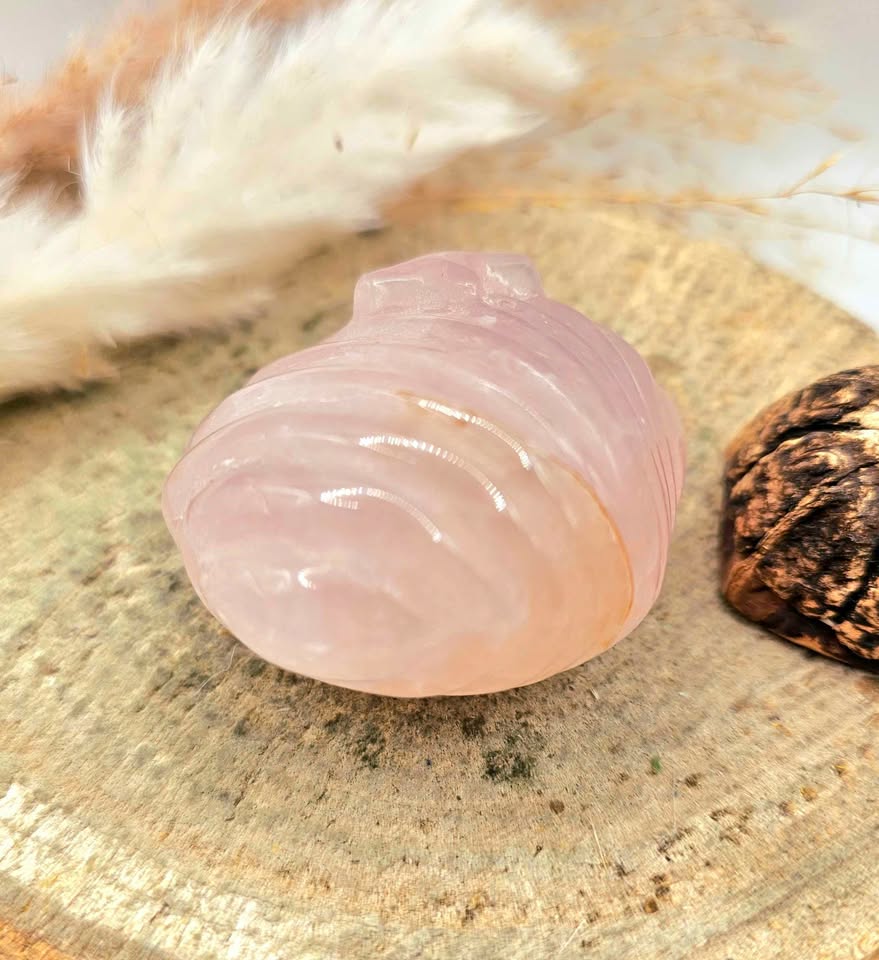 Nature Rose Quartz Hand Carved 2"Big Sea Shell Decor Figure