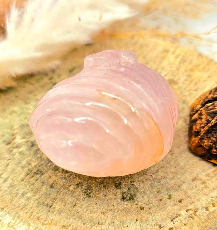 Natural rose quartz hand-carved 2 inch big sea shell crystal decor figure — My Aura Gemstones