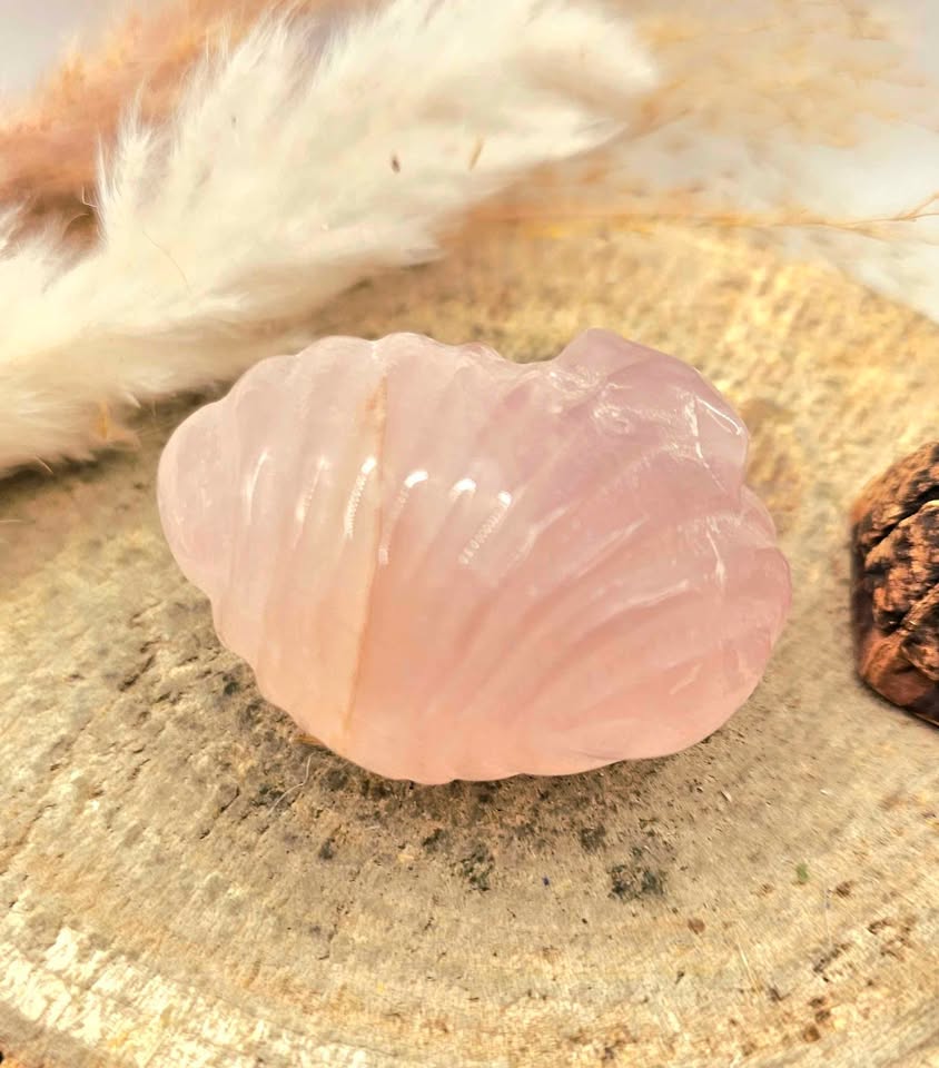 Nature Rose Quartz Hand Carved 2"Big Sea Shell Decor Figure