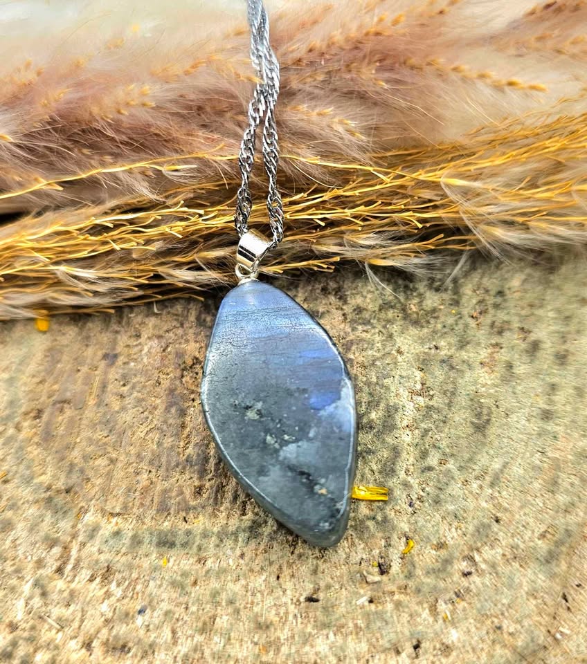 Nature Labradorite Carved Flashy Origin Of Life Pendant Necklace