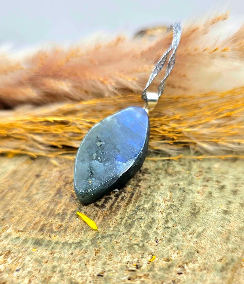 Nature Labradorite Carved Flashy Origin Of Life Pendant Necklace