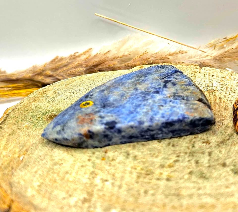Nature Blue Sodalite Hand Carved Fish Decor Figure
