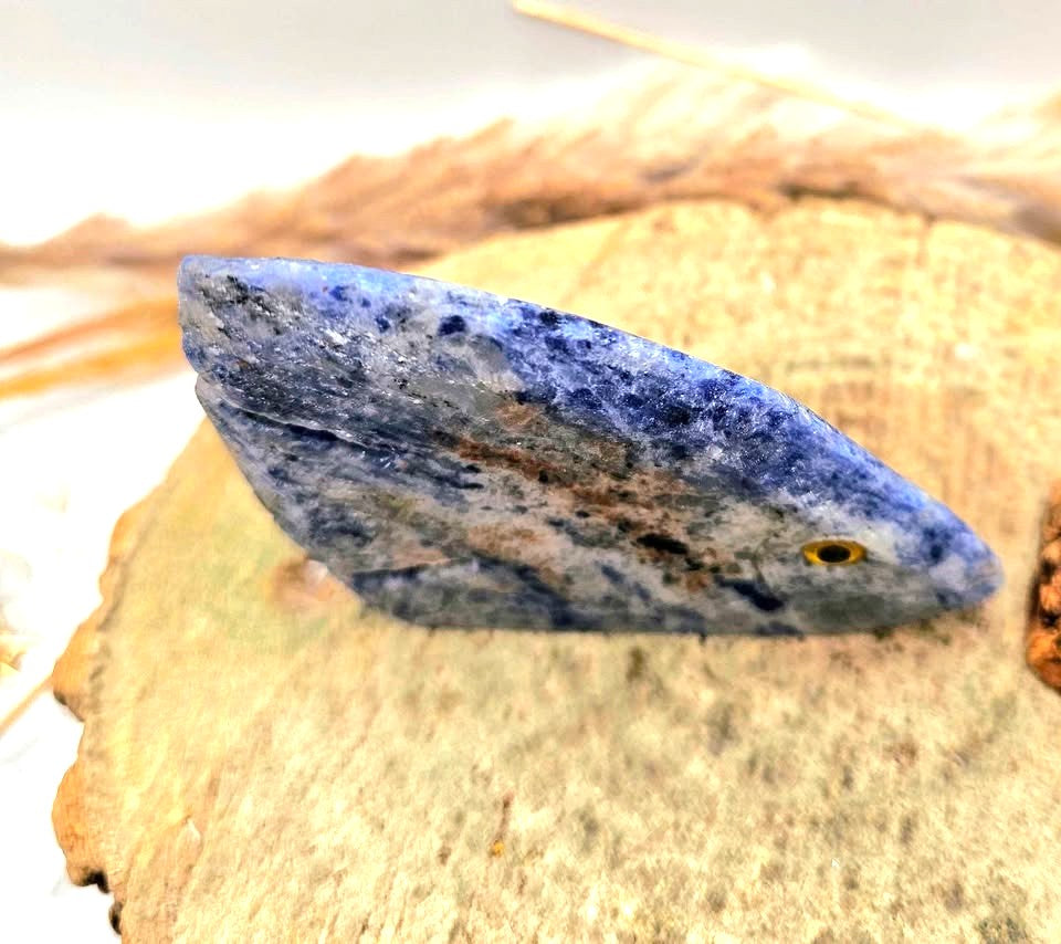 Nature Blue Sodalite Hand Carved Fish Decor Figure