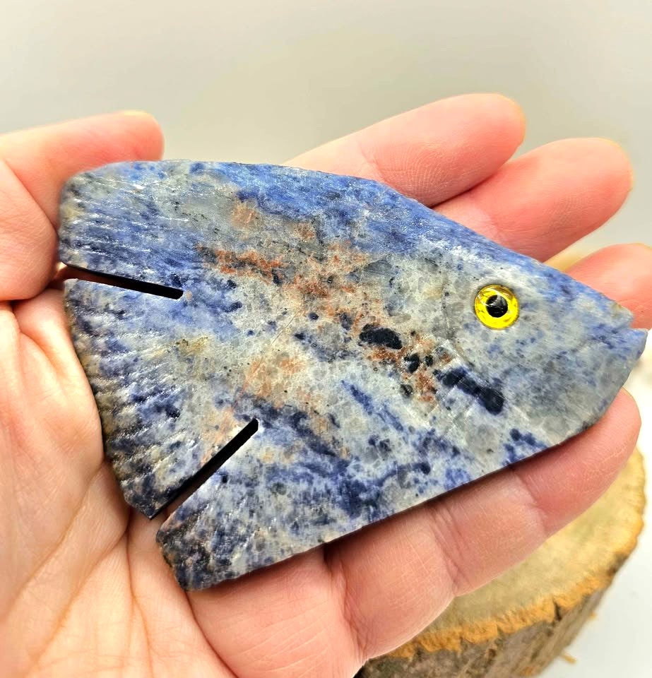 Nature Blue Sodalite Hand Carved Fish Decor Figure