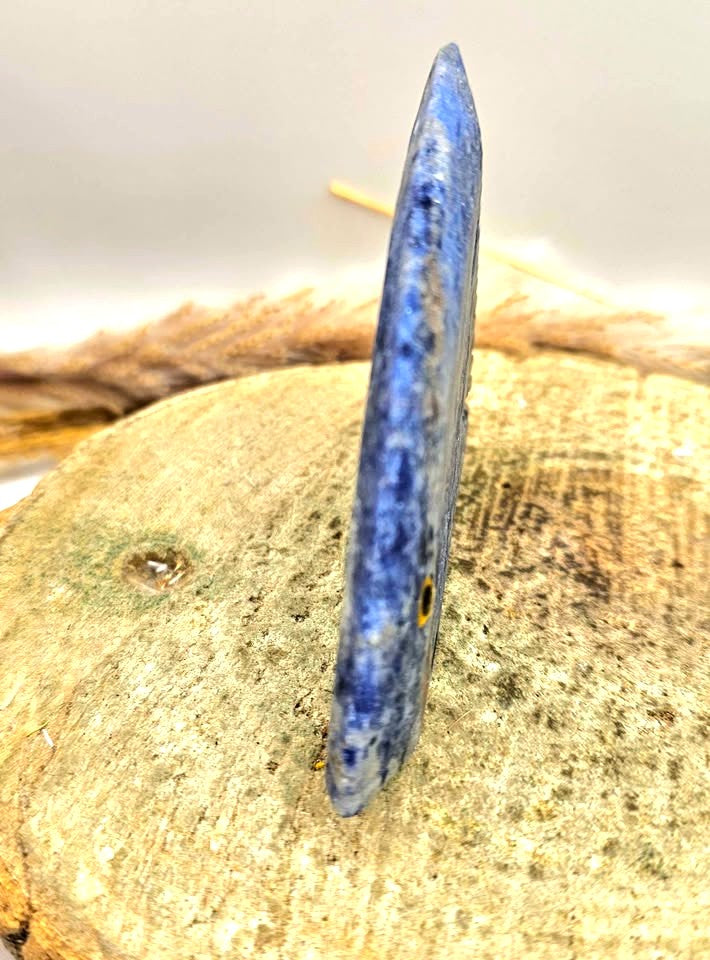 Nature Blue Sodalite Hand Carved Fish Decor Figure
