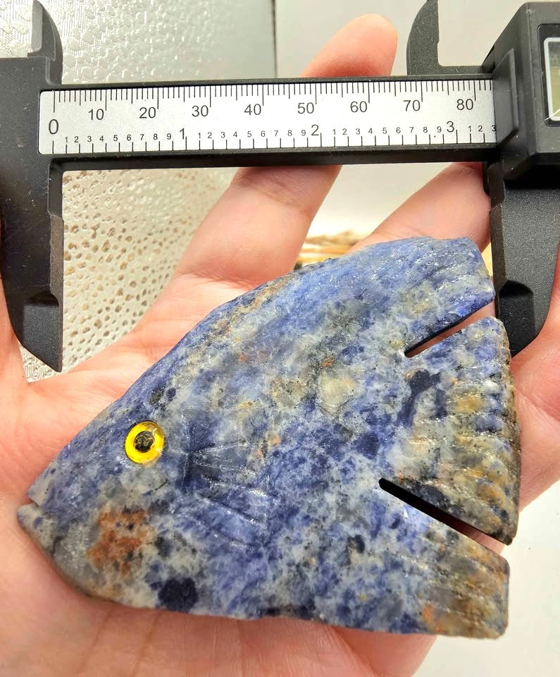 Nature Blue Sodalite Hand Carved Fish Decor Figure