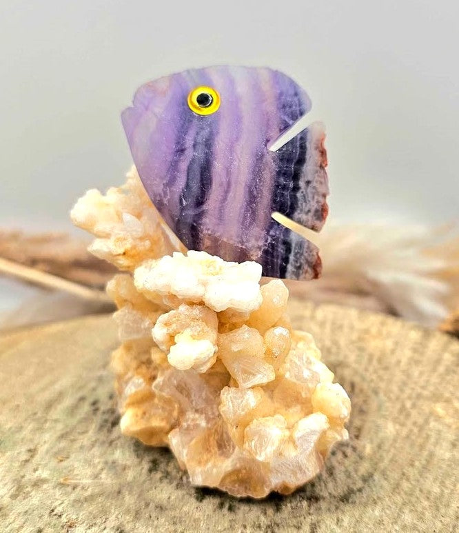 Nature Fluorite Hand Carved Fish With Calcite Stalactite Cluster