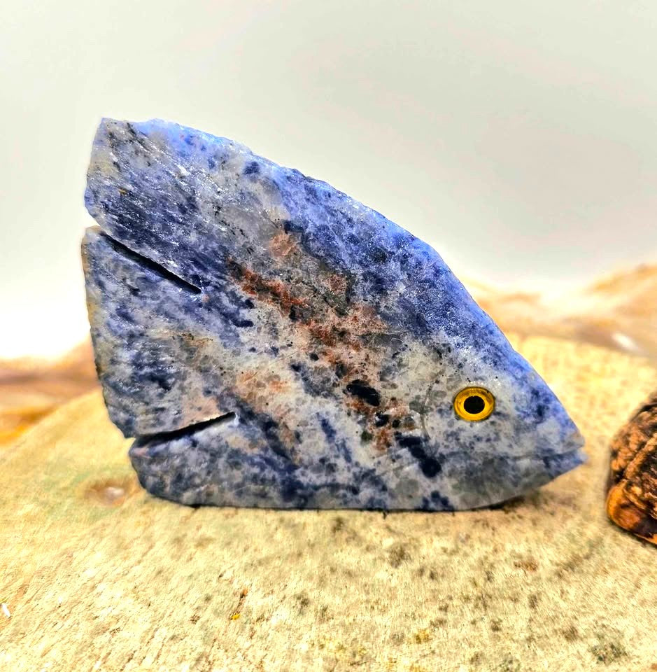 Nature Blue Sodalite Hand Carved Fish Decor Figure
