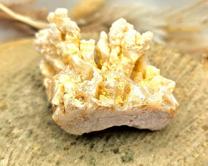 Nature Fluorite Hand Carved Fish With Calcite Stalactite Cluster