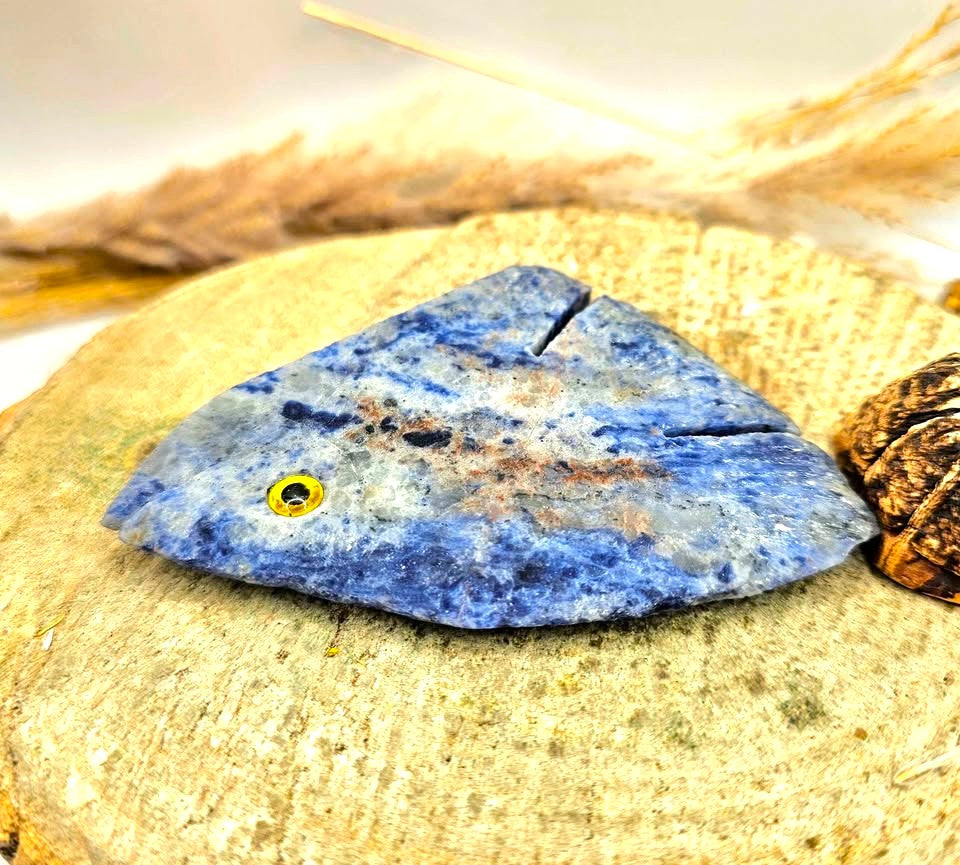 Nature Blue Sodalite Hand Carved Fish Decor Figure