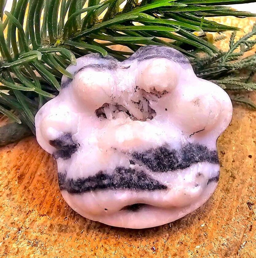 Unique Nature Zebra Stone Druzy Hand Carved Big Paw Decor Palm Stone