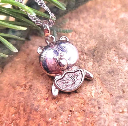 Genuine Nature Gibeon Meteorite Pig  Carries Gold 925 Pendant Necklace