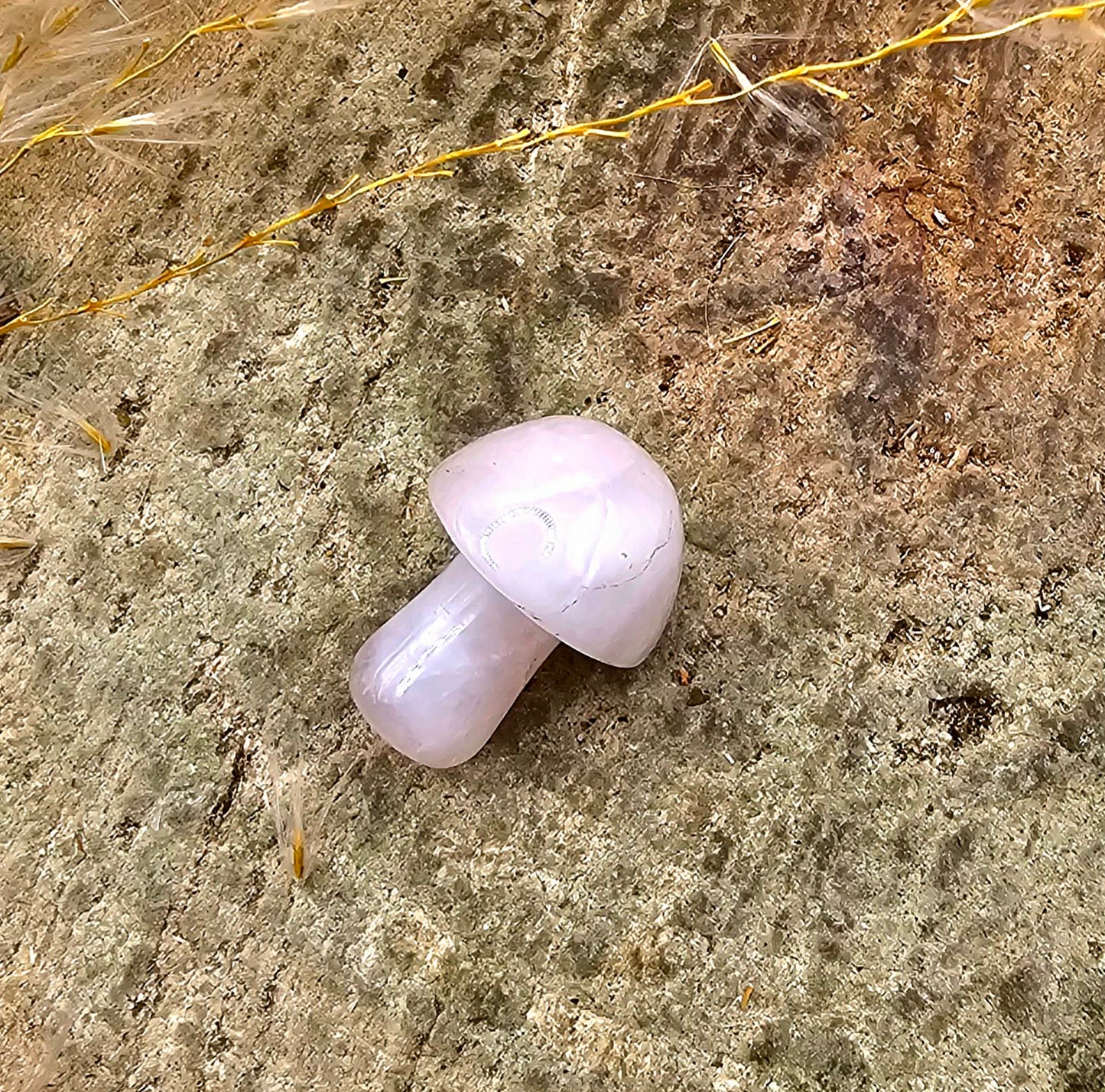 Assorted 6pcs Nature Crystal Stone Mushrooms Set