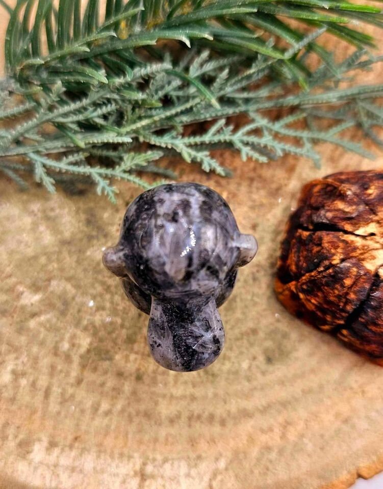 Nature Larvikite Hand Carved Flashy Cute Psyduck Figure
