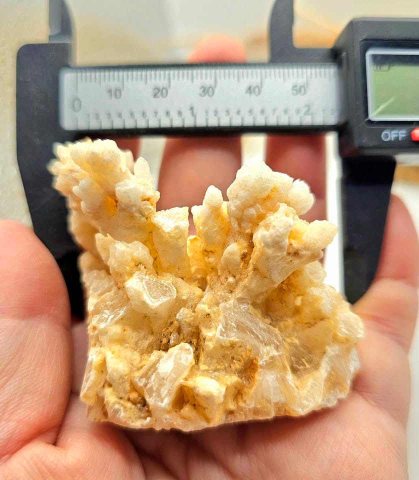 Nature Fluorite Hand Carved Fish With Calcite Stalactite Cluster