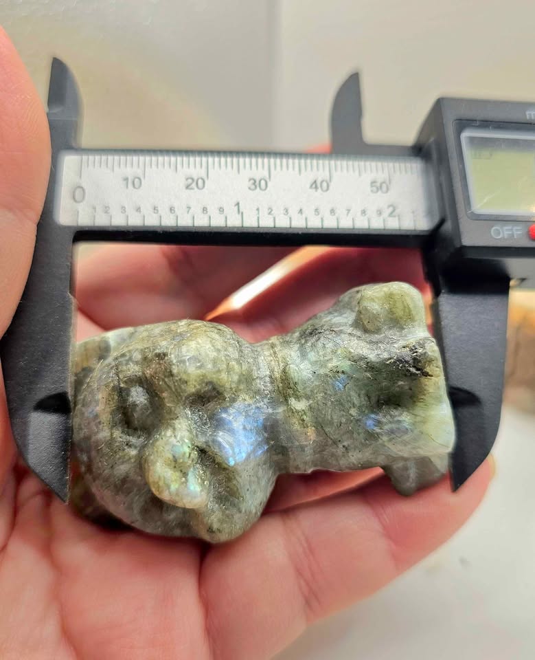 Nature Labradorite Carved Cheerful Dog Figure