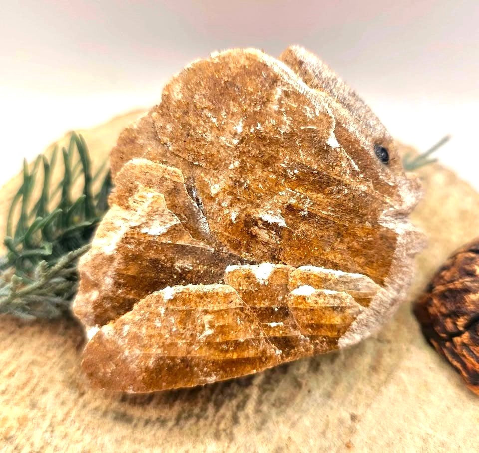Natural desert rose hand-carved fish crystal decor figure , the back side— My Aura Gemstones