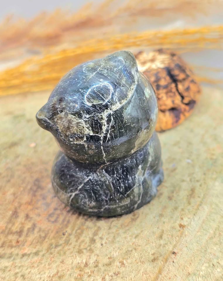 Labradorite hand-carved cute cat decor figure iridescent flash — My Aura Gemstones