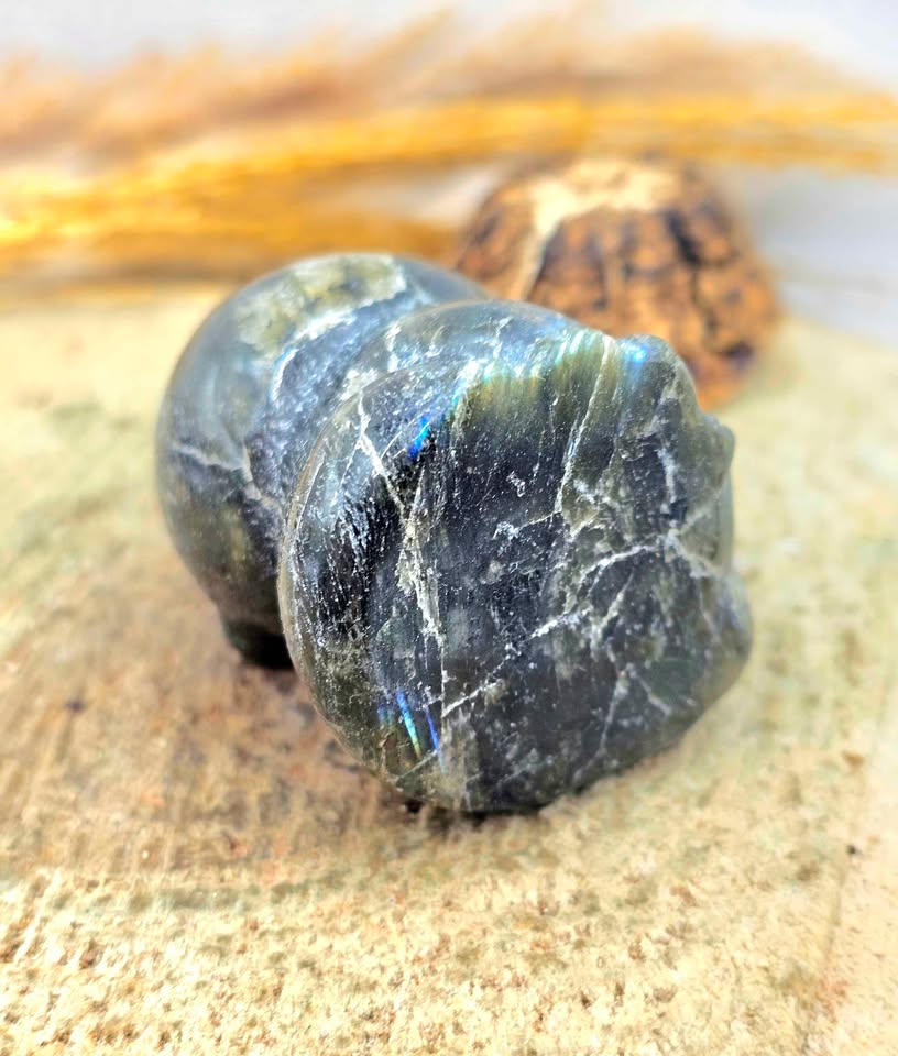 Labradorite hand-carved cute cat decor figure packaging — My Aura Gemstones