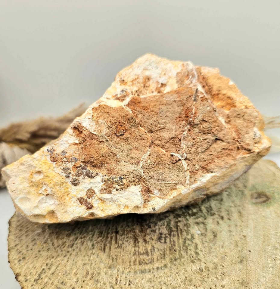 Natural Amethyst Honey Cluster Specimen | Heat‑Treated Dark Honey Crystal | Flashy Point Display | Healing Crystal Décor