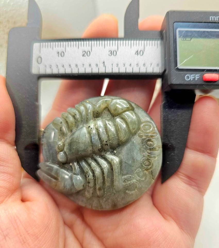 Flashy Labradorite Carved Scorpio zodiac pendant-My Aura Gemstones