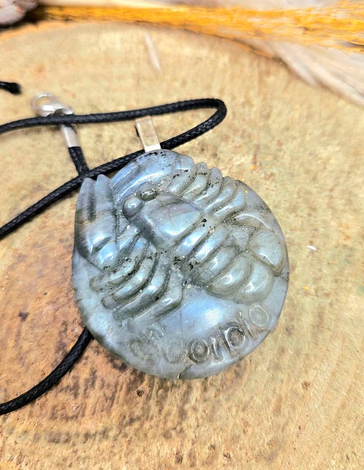 Flashy Labradorite Carved Scorpio zodiac pendant-My Aura Gemstones