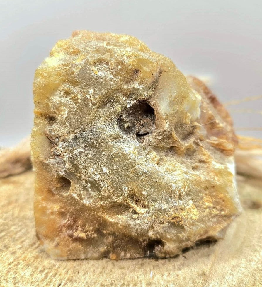 Natural quartz geode specimen with tan rough outer crust and sparkling white druzy crystal interior, standing upright.