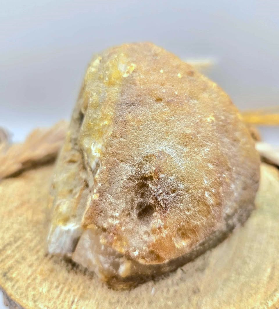 Natural quartz geode specimen with tan rough outer crust and sparkling white druzy crystal interior, standing upright.