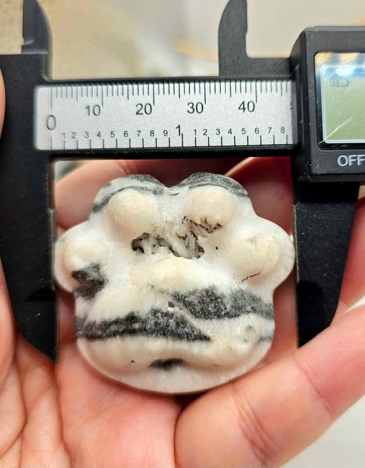 Unique nature zebra stone druzy hand-carved big paw decor palm stone — My Aura Gemstones
