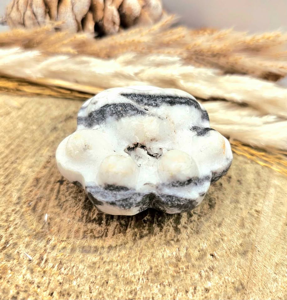 Unique nature zebra stone druzy hand-carved big paw decor palm stone — My Aura Gemstones
