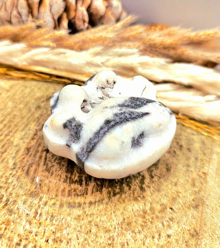 Unique nature zebra stone druzy hand-carved big paw decor palm stone — My Aura Gemstones