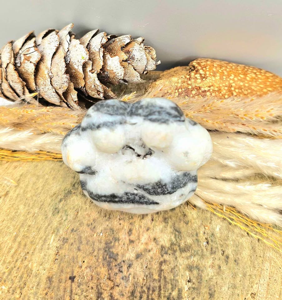 Unique nature zebra stone druzy hand-carved big paw decor palm stone — My Aura Gemstones