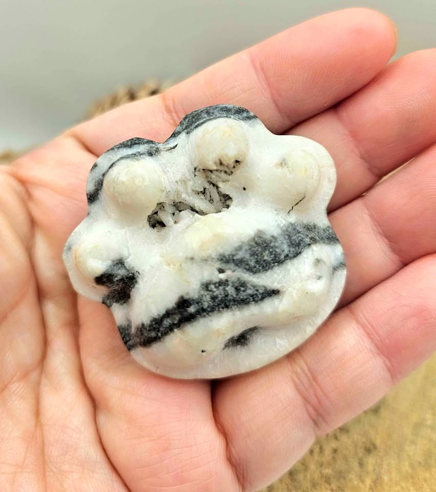 Unique nature zebra stone druzy hand-carved big paw decor palm stone — My Aura Gemstones