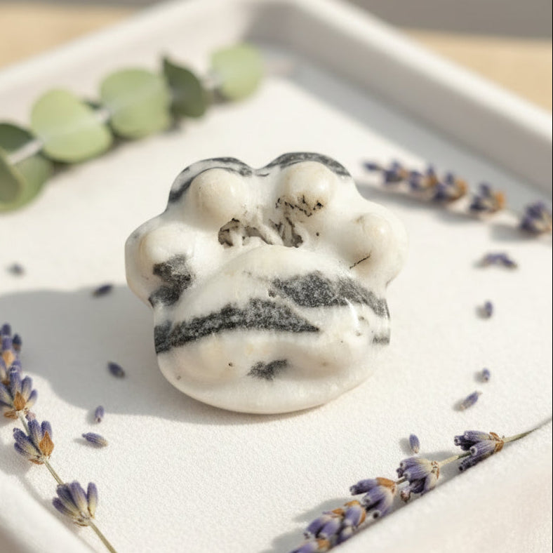 Unique nature zebra stone druzy hand-carved big paw decor palm stone — My Aura Gemstones