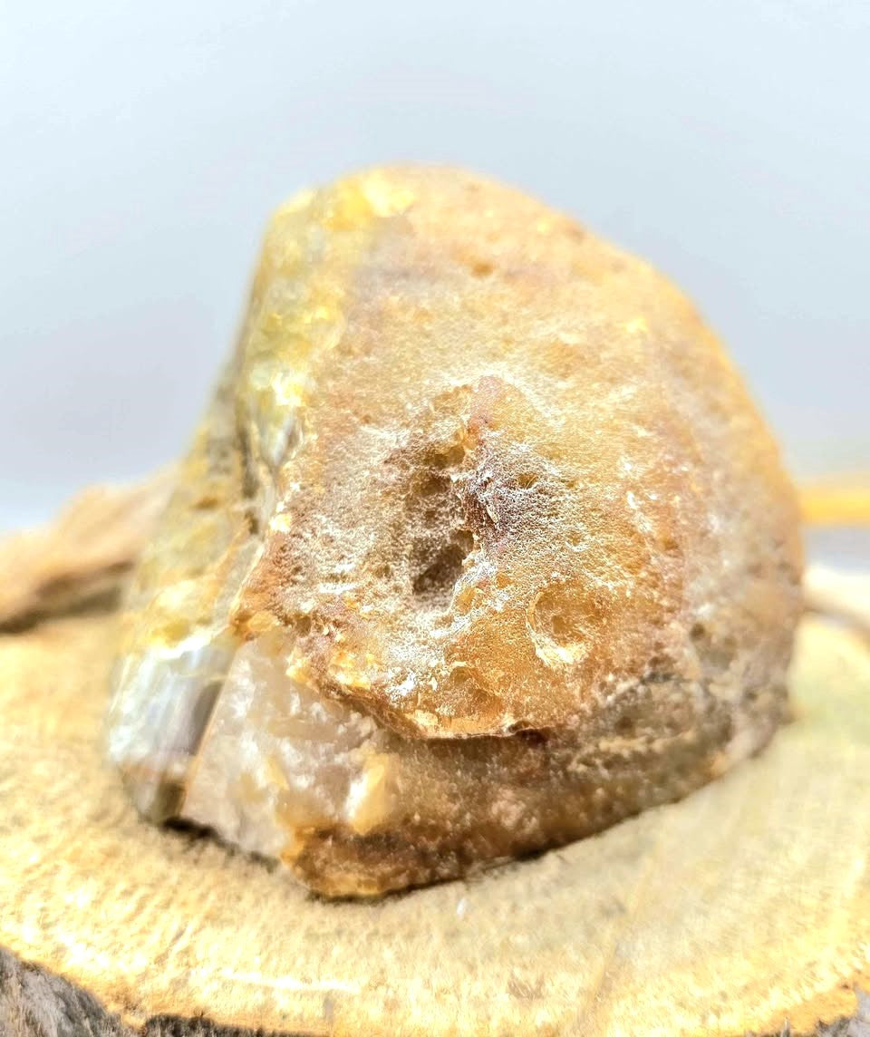 Natural quartz geode specimen with tan rough outer crust and sparkling white druzy crystal interior, standing upright.