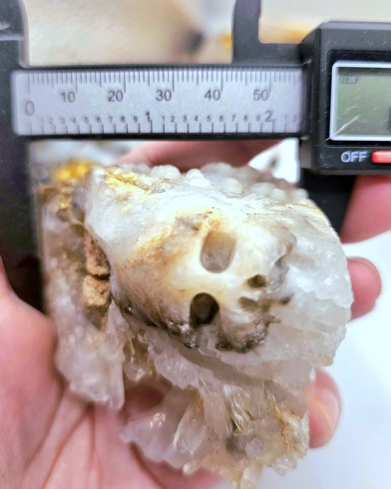 A natural crystal cluster featuring a prominent skull formation with clear quartz and beige mineral inclusions, displayed on a textured burlap surface in measurement -My Aura Gemstones. 