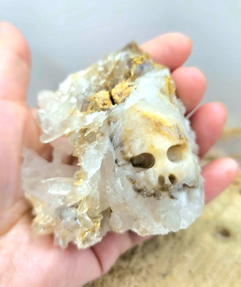 A natural crystal cluster featuring a prominent skull formation with clear quartz and beige mineral inclusions, displayed on a textured burlap surface displays on hand-My Aura Gemstones. 