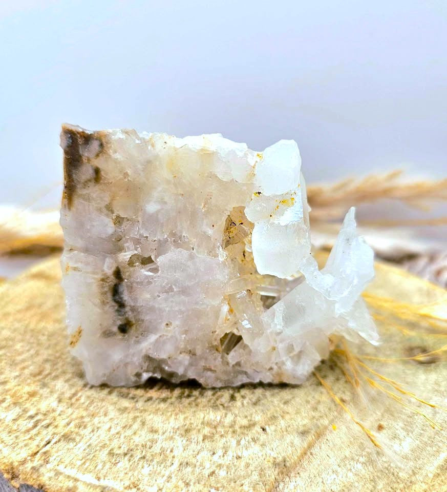 A natural crystal cluster featuring a prominent skull formation with clear quartz and beige mineral inclusions, displayed on a textured burlap surface in back view-My Aura Gemstones. 