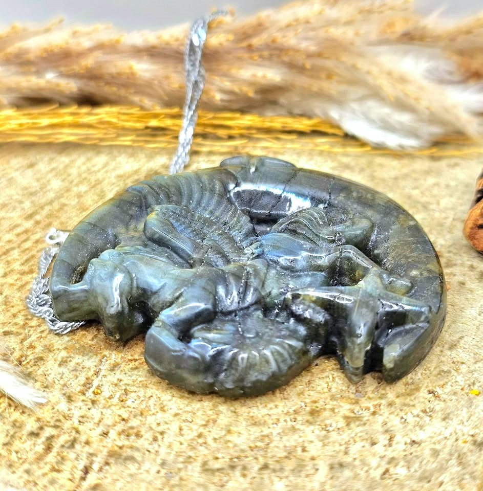 A carved labradorite pendant featuring a winged horse (Pegasus) resting on a crescent moon, displayed on a textured stone surface with dried grass in side view-My Aura Gemstones
