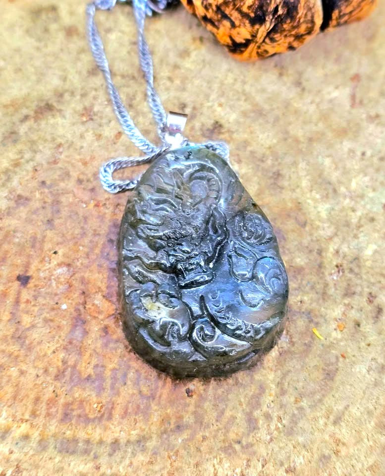 A carved dark stone pendant necklace with a silver bail and chain, featuring an embossed dragon design, displayed on a textured brown surface.